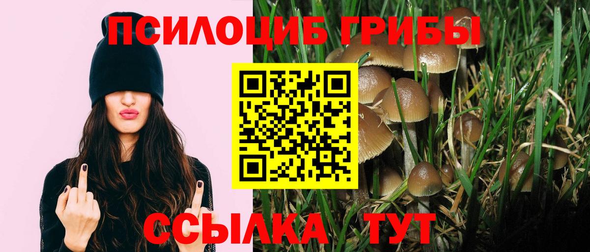Галлюциногенные грибы MAGIC MUSHROOMS Пенза